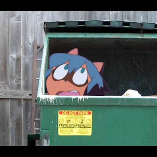 la spazzatura, rifiuti e rottami, cestino del gatto, gatto spazzatura, rifiuti urbani
