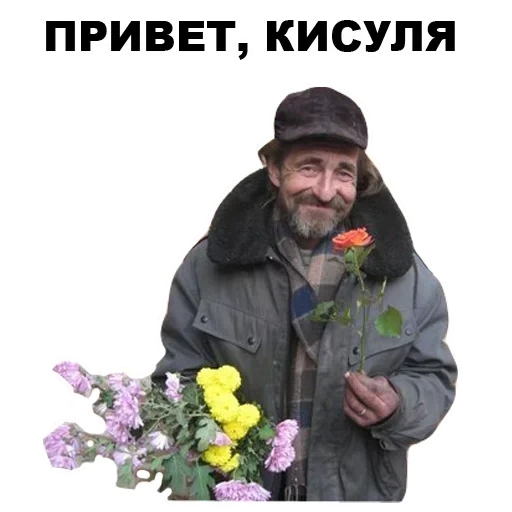 clochard, mème bomzh, bomzh fleurs, aide avec les fleurs, joyeux anniversaire sans abri