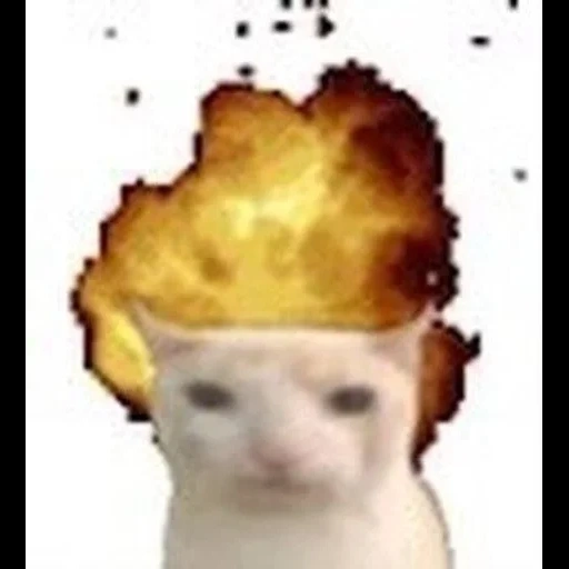 explosion, tube streamer, feu explosif, meme cat, effet explosif