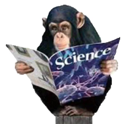 la scimmia legge, testo di pagina, libro di testo delle scimmie, la scimmia legge il giornale, il lavoro ha creato le scimmie di un uomo