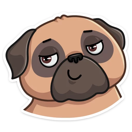 pug, mopsikov, pug bun, sr pug