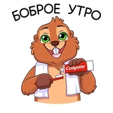 Бобёр Боря (@TgSticker)