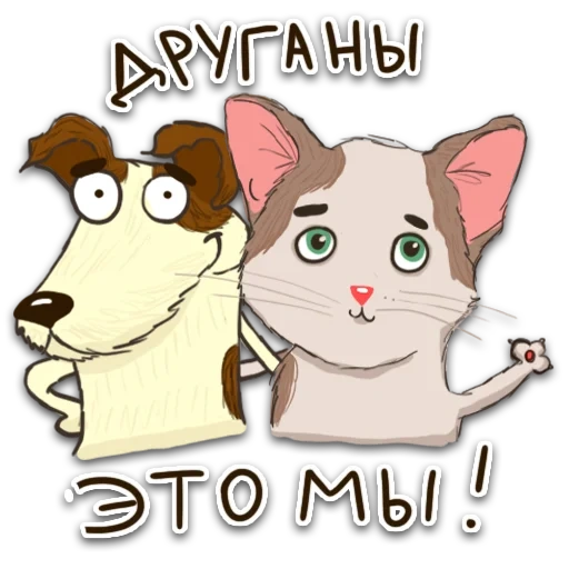gato, cat, gato, engraçado, haikikov