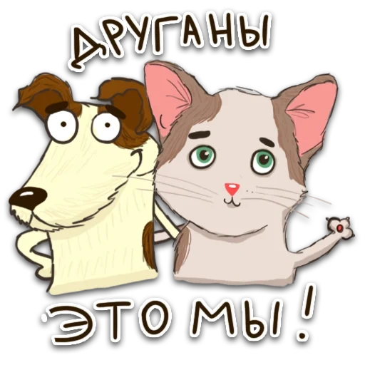 gatto, gatti, gatto, scherzo, kotikov