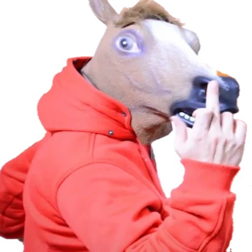 horse mask, horse head, horse head mask, a surprised horse, man with the head of the horse