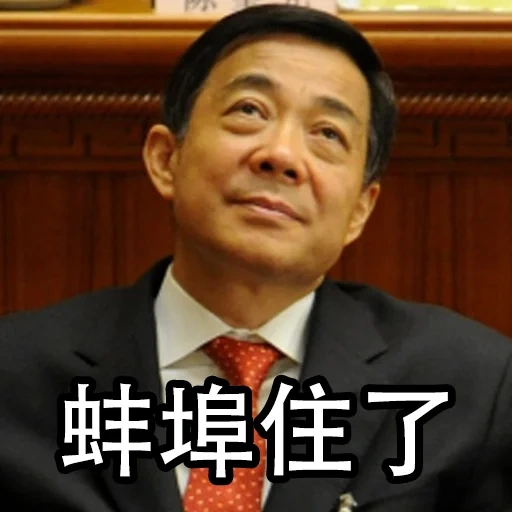 bo xilai, communist party of china, chinese politicians, bo xilai china, chinese officials