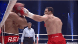 knockout, heavyweight, vladimir cricchenko nockout