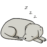 животные, спящий щенок, щенок спит рисунок, спящая собака рисунок, спящий собака щенок кот