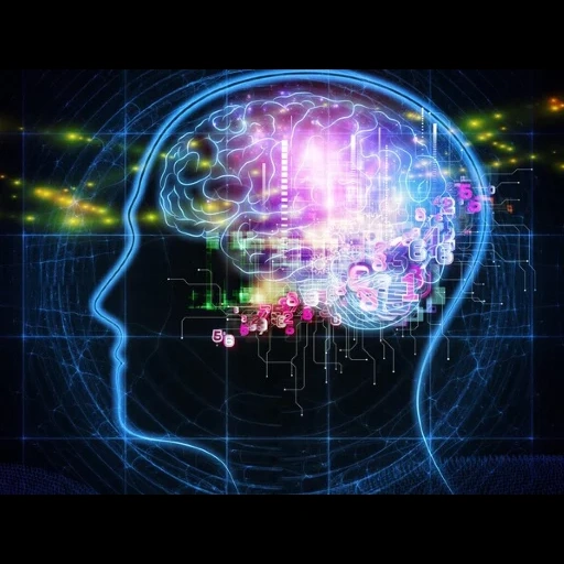 otak, kerja otak, otak perusahaan, kesadaran otak, kesadaran bawah sadar