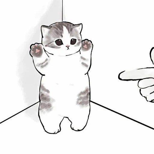 le foche, un bel sigillo, diagramma del sigillo, illustrazione del gatto, mimmi shi tiger model