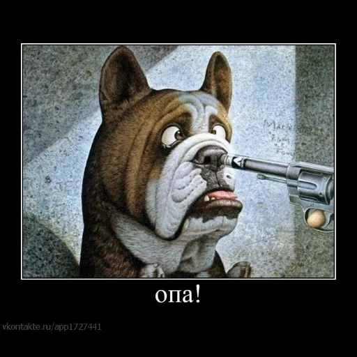 dog with a gun, boldog dog, the dog with a pistol, the english bulldog is angry, barking english bulldog