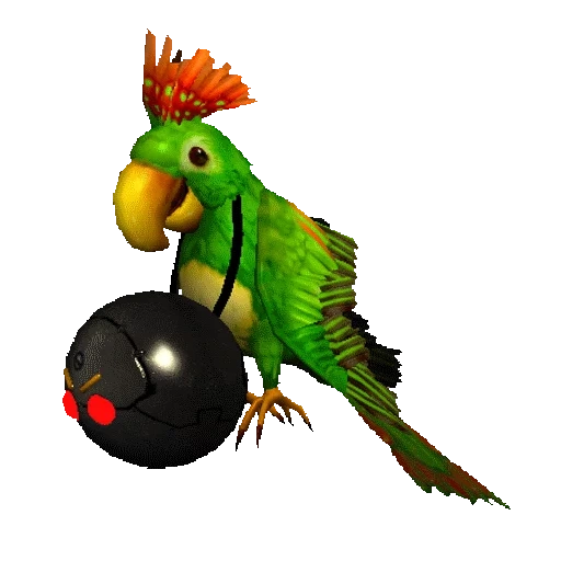 ara parrot, buba parrot, talking parrot, sirius sam parrot, parrot of the chromakey