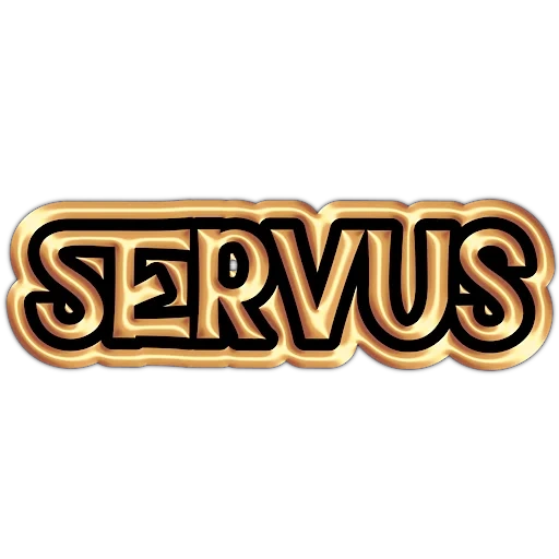 logo, service, the male, logo, serverplus100.ucoz.ru