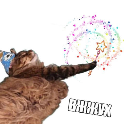 вжух, вжух кот, вжух вжух, вжух прозрачном фоне