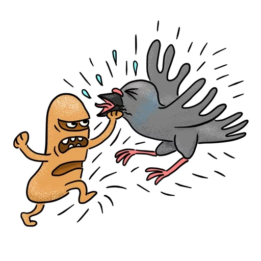 pigeon, funny dove, pigeon cartoon is funny, pigeon interesting pattern
