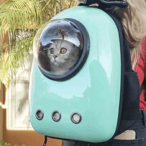 рюкзак кота, рюкзак животных, прозрачный рюкзак кота, рюкзак кота иллюминатором, рюкзак кота иллюминатором nasa