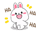 funny, rabbit wow, cute rabbits