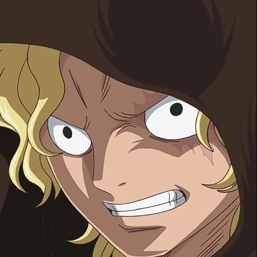 parker, sabo, animation, cartoon character, one piece animation