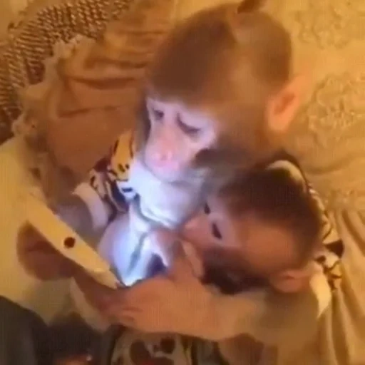 малыш, ребенок, обезьянки, пила обезьянка, две обезьянки смартфоном
