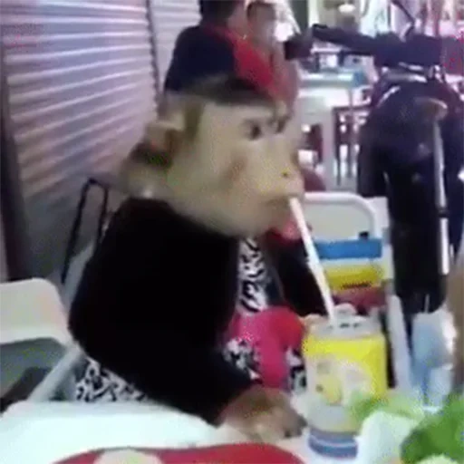 ребенок, человек, обезьяна ресторане, обезьянка ресторане, обезьянки кушают кафе мультик