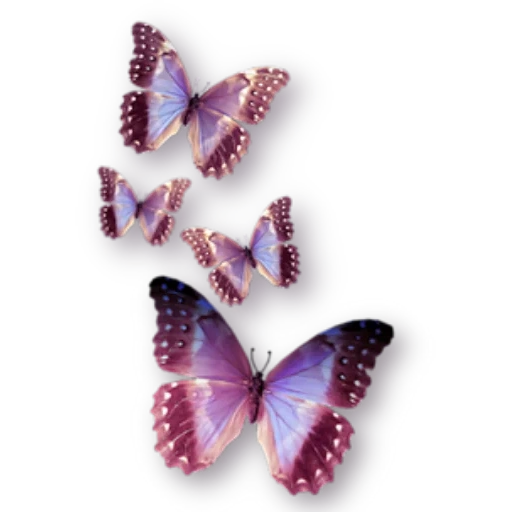 mariposa, mariposa 3d, polvo de mariposas, mariposa voladora, pies de clip de mariposa