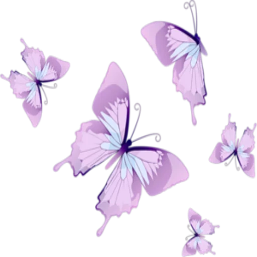 pola kupu-kupu, kupu-kupu lavender, ungu kupu-kupu, mia purple butterfly, vektor kupu-kupu ungu
