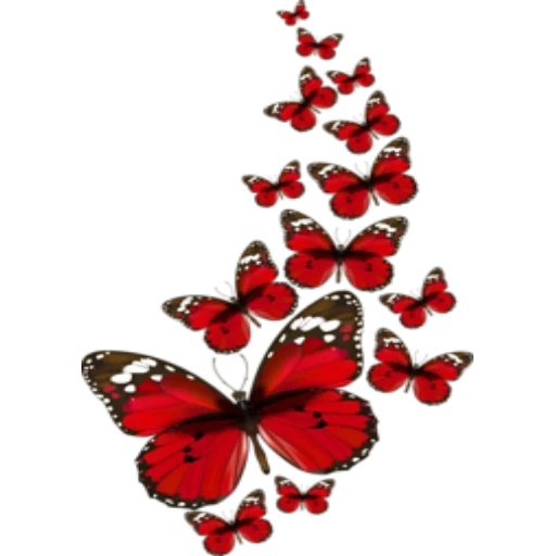 fleur de papillon, clipart papillon, image papillon, le papillon est rouge, papillon