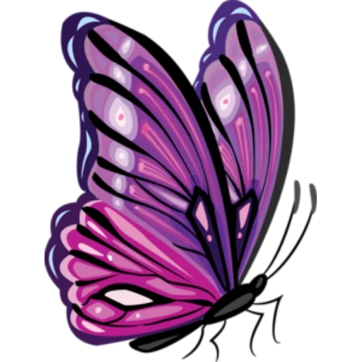 dessin de papillon, papillons lilas, papillons violets, vecteur lilas, papillon violet avec un fond blanc