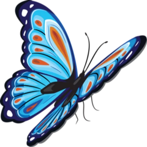 papillon, graphics butterfly, papillon, un papillon sans fond, le papillon est transparent