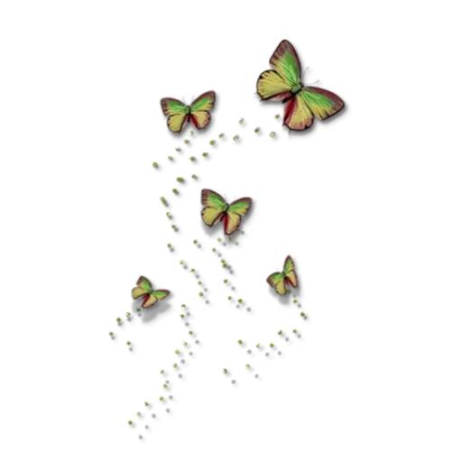 the butterfly, the butterfly clip, schmetterlingsclip, fliegender schmetterling transparenter boden, schmetterling fliegt transparent hintergrund