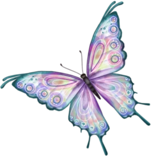 farfalla farfalla, farfalla viola, la farfalla è trasparente, sfondo trasparente animazione di farfalle