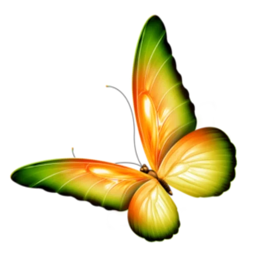 pies de clip de mariposa, mariposa sin fondo, mariposa blanca, mariposa transparente al final, mariposa sin fondo