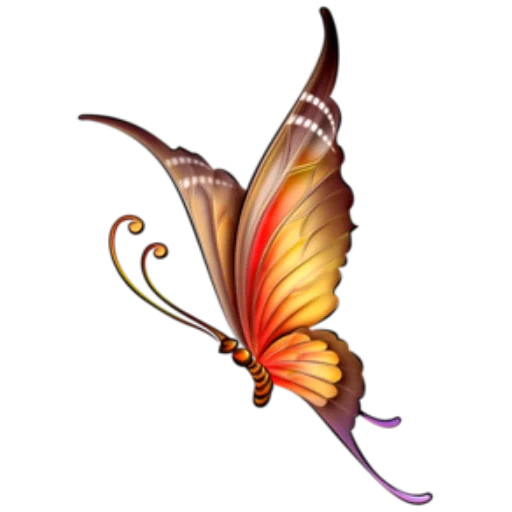 la farfalla, ali farfalla, immagine farfalla, disegno a farfalla, farfalla grafica