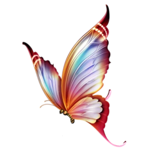 papillon, image papillon, dessin de papillon, papillon, le papillon est transparent
