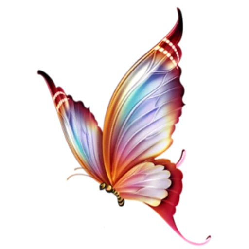 kupu-kupu, pola kupu-kupu, pola kupu-kupu, kupu-kupu kupu-kupu, butterfly transparency