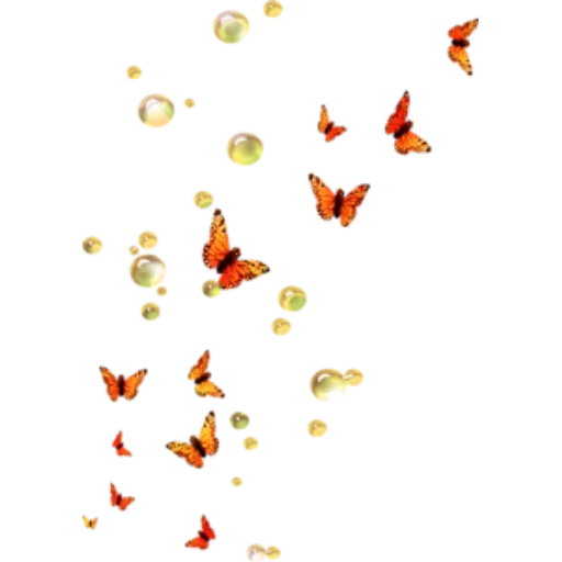 mariposa blanca, mariposa superpuesta fondo transparente, color de fondo transparente mariposa conminuta, mariposa voladora transparente al final, photoshop fondo transparente mariposa volante