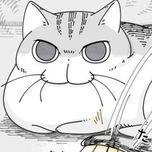 gato, manga, gato, anime kotik, tonnura san cat