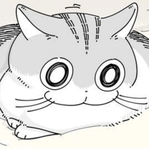 katze, anime süß, die tiere sind süß, tonnura san cat, färben von anime katzen