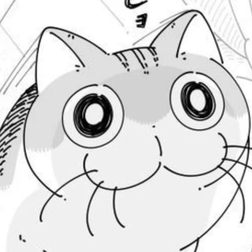 manga, cat, cats, anime cute, tonnura san cat