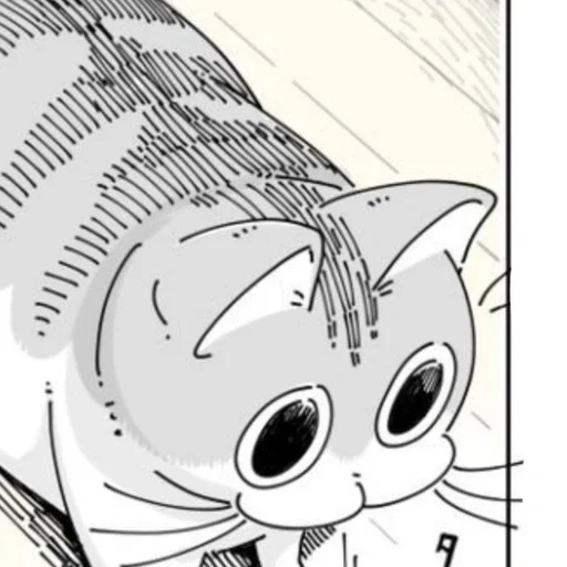 manga, katze, die tiere sind süß, tonnura san cat, beliebter manga