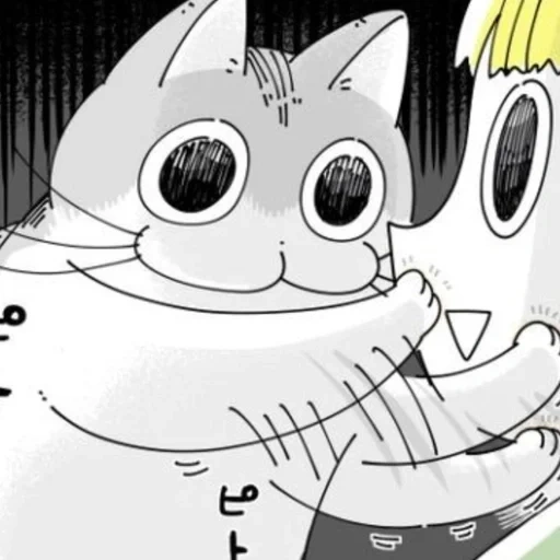 kucing, anime, kucing, kucing, tonnura san cat