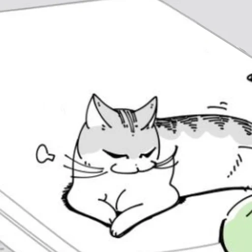 gato, catetes sketching, dibujos de gatos, dibujos de gatos lindos, dibujos de gatos de bocetos