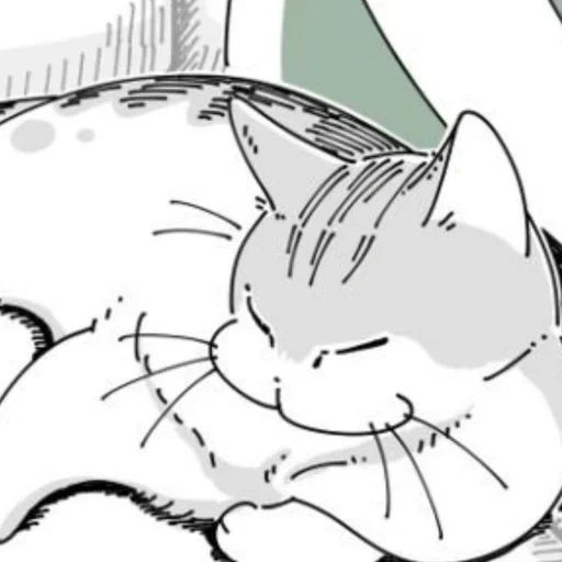 cat, anime kotik, manga sweet, cat sketch, anime cats ok