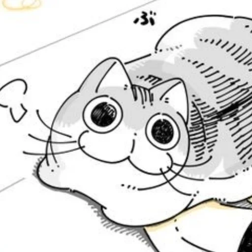 manga, kucing, kucing, hewan hewan itu lucu, tonnura san cat