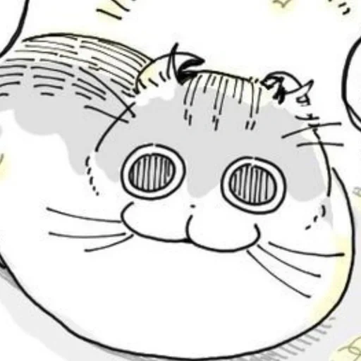 cats, cat, cats, anime kotik, tonnura san cat