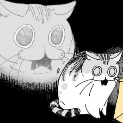 félins, cats, phoques, anime chat, junji ito manga cat