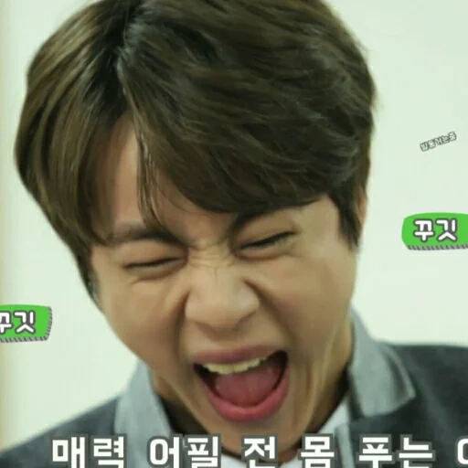 jin bts, bts memes, bangtan boys, jin bts laughter, jin bcts is grimacing