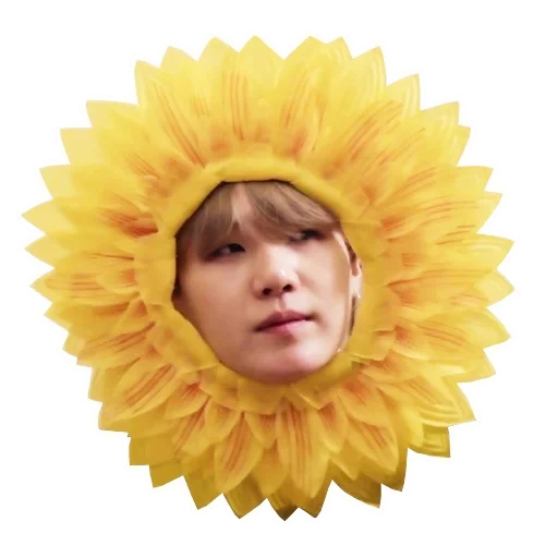 set of stickers, stickers, stickers bts, bts sunflowers, flower flower