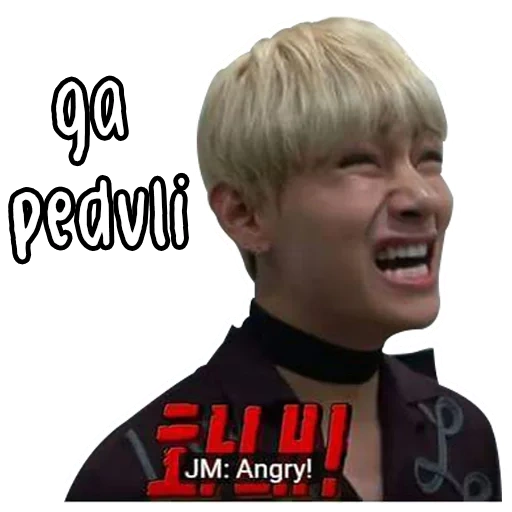 bts meme, taiheng bts, taehyung bts, su ge's bts meme, bts kim tae hung sticker