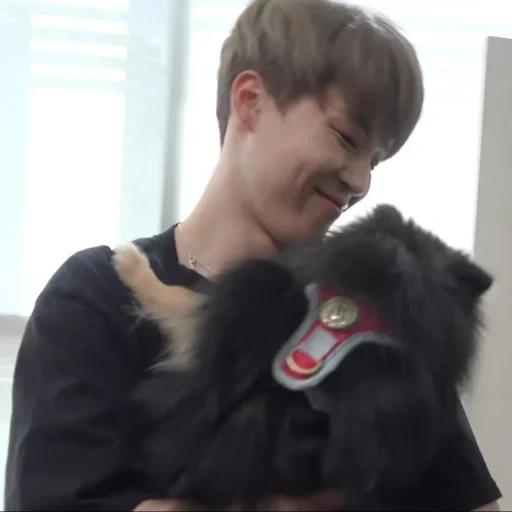 junge, jimin bts, jungkook bts, taehens hund, yenttan taehyun jungkook